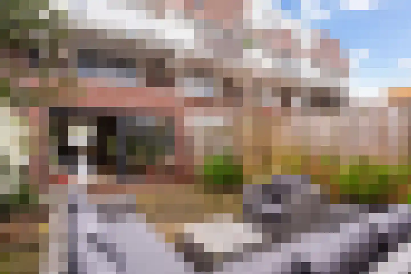 Albert Schweitzerlaan 215 Den Haag thumbnail 21