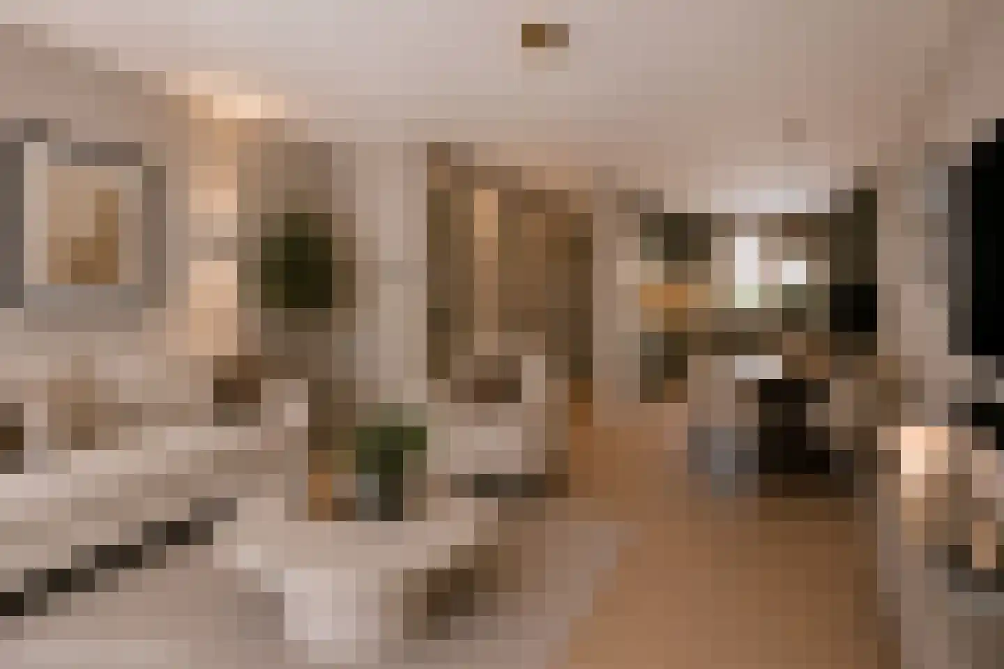 Albert Schweitzerlaan 27 Schoonhoven thumbnail 11