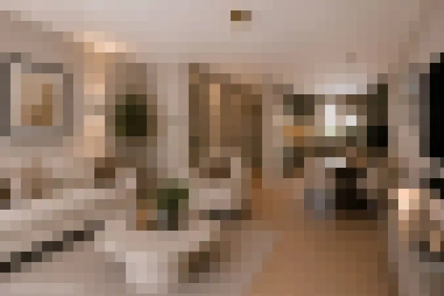 Albert Schweitzerlaan 27 Schoonhoven thumbnail 4