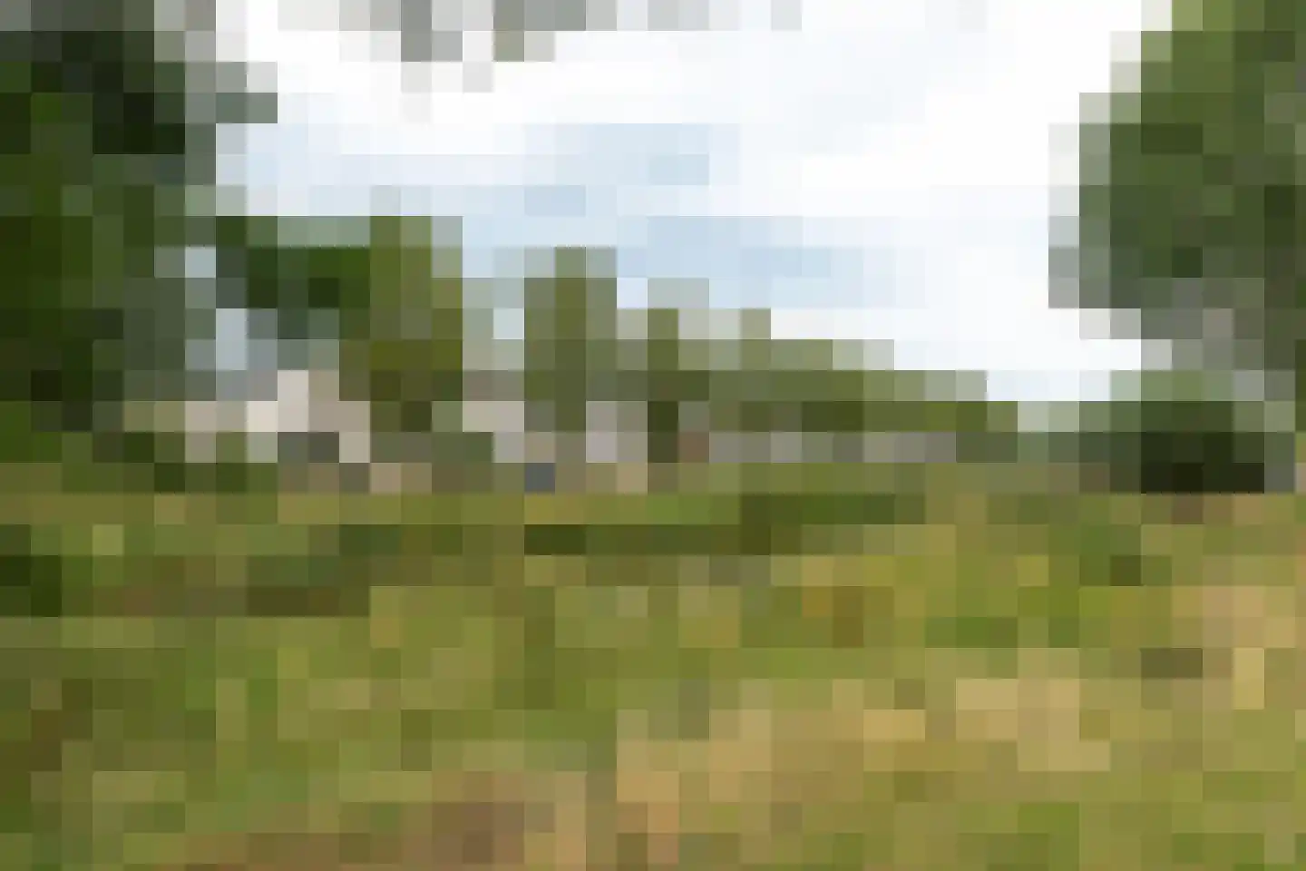 Albert Schweitzerlaan 29 Huizen thumbnail 30