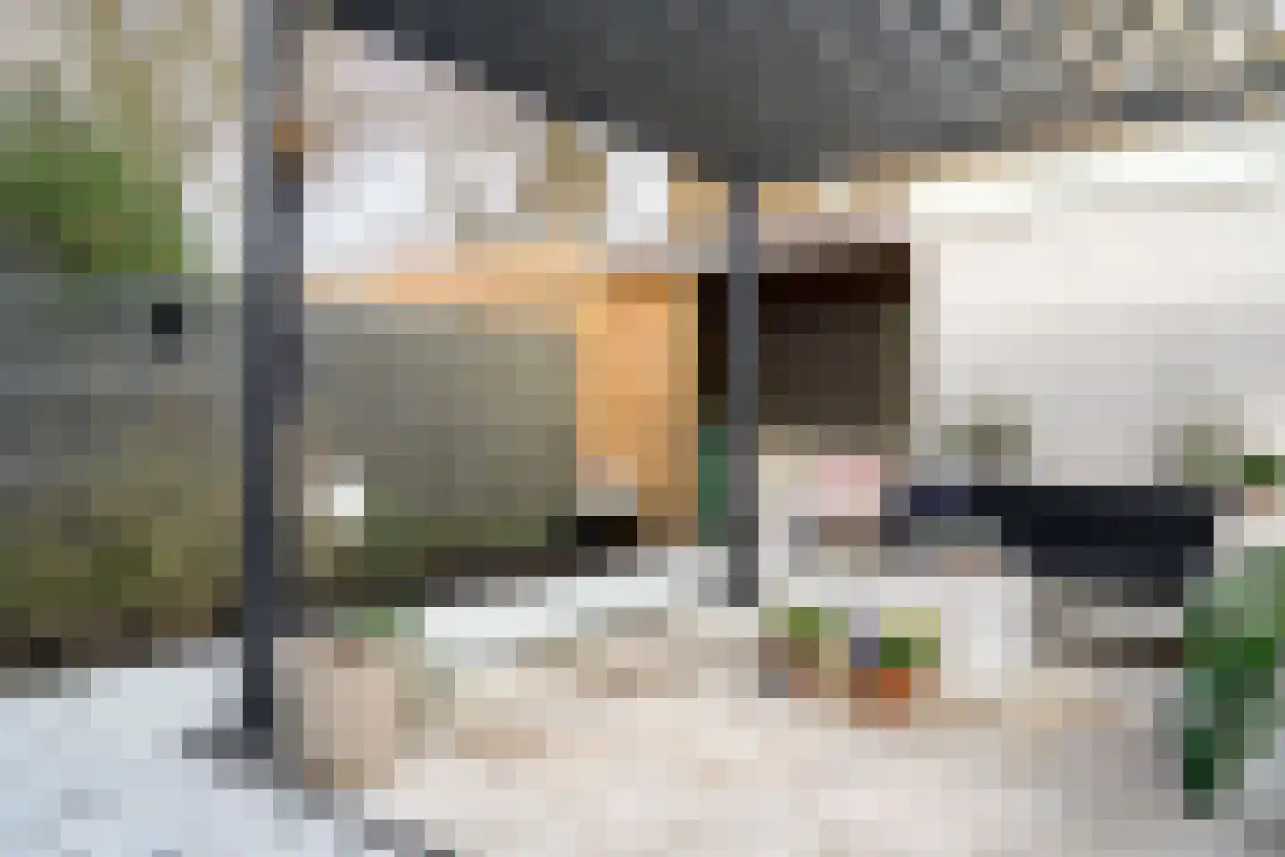Albert Schweitzerlaan 39 Haarlem thumbnail 27
