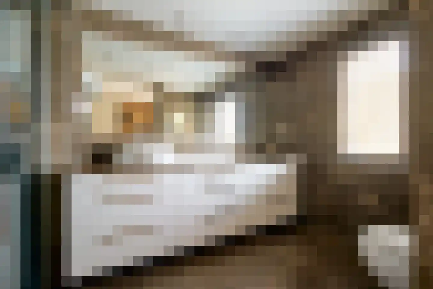 Albert Schweitzerlaan 39 Haarlem thumbnail 49