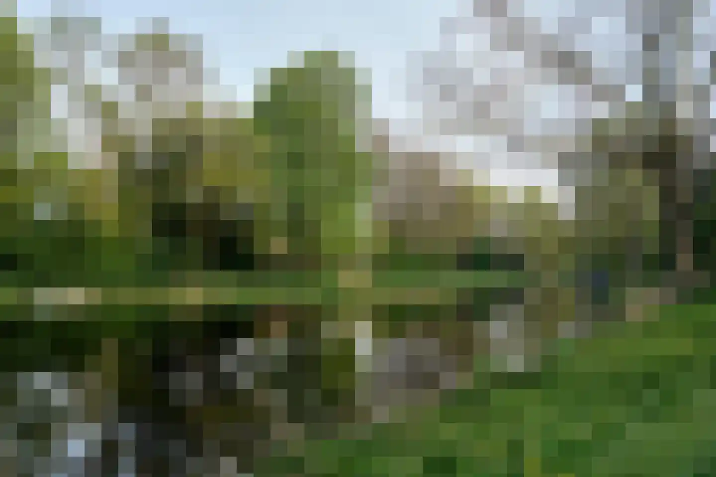 Albert Schweitzerlaan 39 Haarlem thumbnail 73