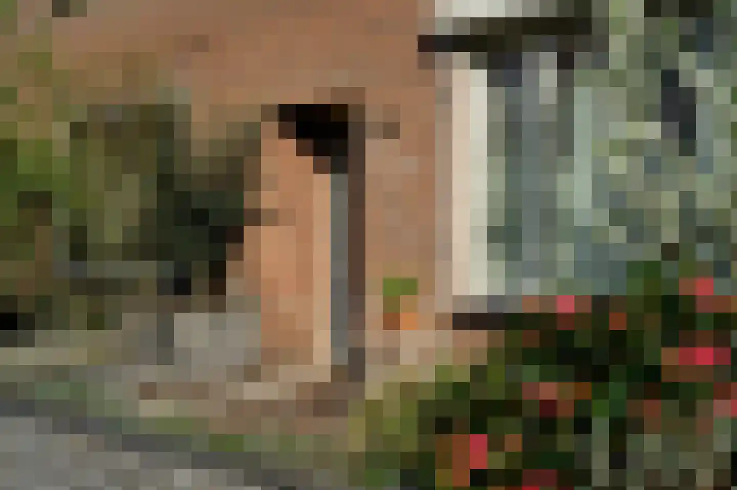 Albert Schweitzerlaan 39 Haarlem thumbnail 8