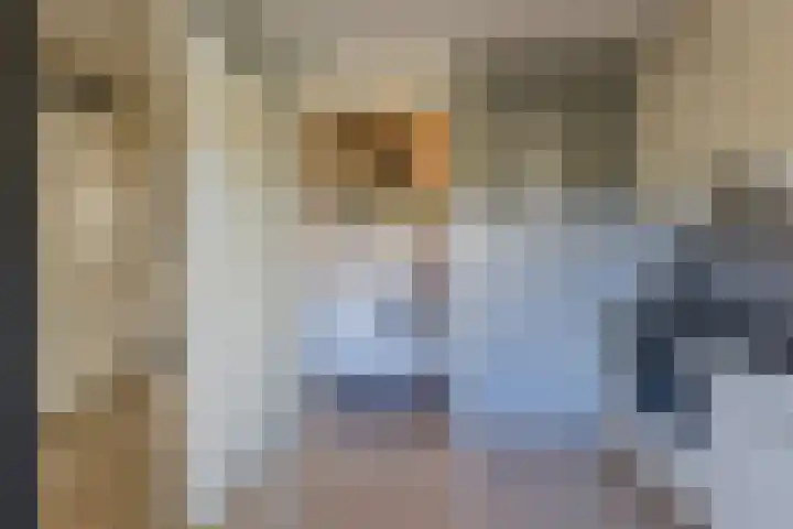 Albert Schweitzerlaan 4 E Haarlem thumbnail 10