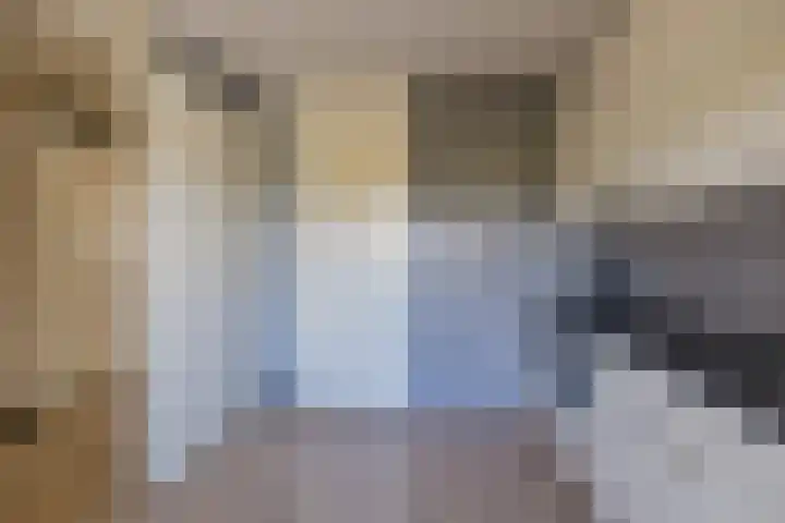 Albert Schweitzerlaan 4 E Haarlem thumbnail 9