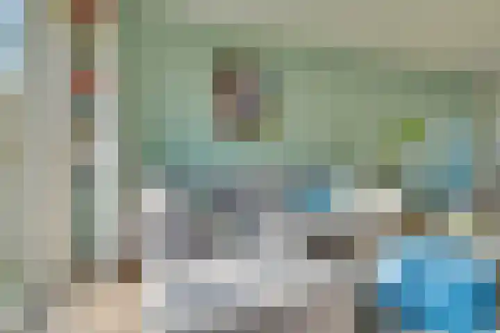 Albert Schweitzerlaan 41 Vleuten thumbnail 16