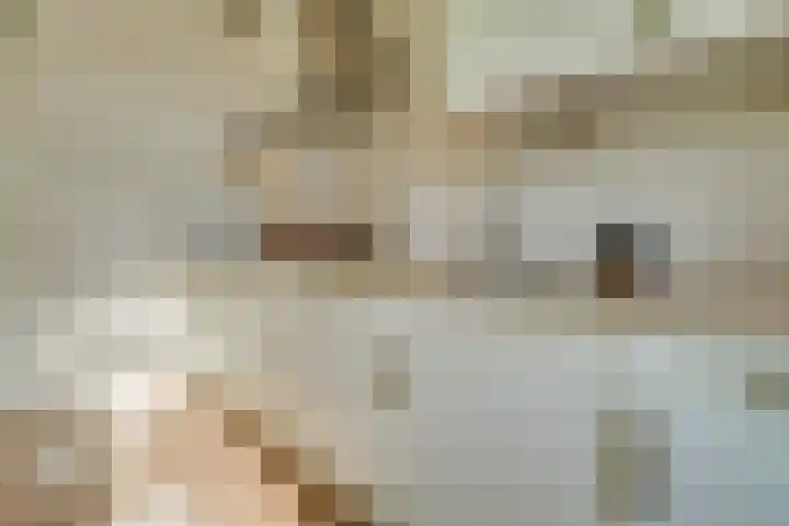 Albert Schweitzerlaan 41 Vleuten thumbnail 18