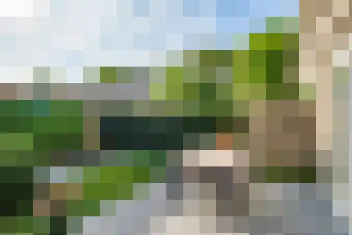 Albert Schweitzerlaan 41 Vleuten thumbnail 21