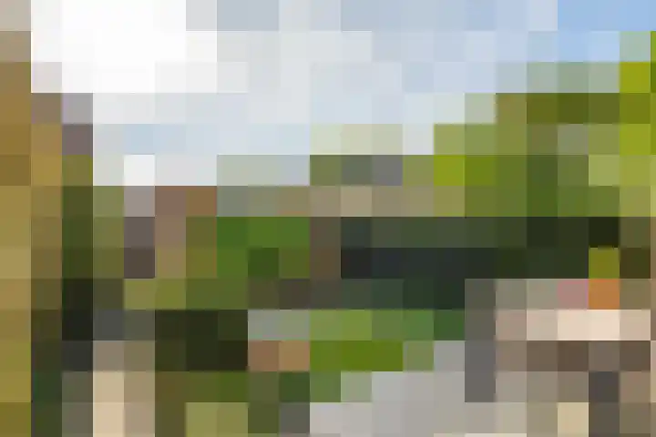 Albert Schweitzerlaan 41 Vleuten thumbnail 22