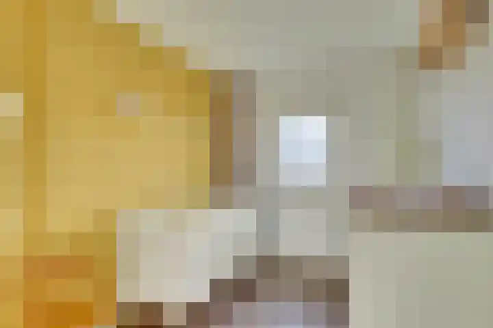 Albert Schweitzerlaan 41 Vleuten thumbnail 24