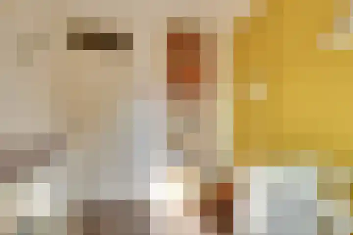 Albert Schweitzerlaan 41 Vleuten thumbnail 25