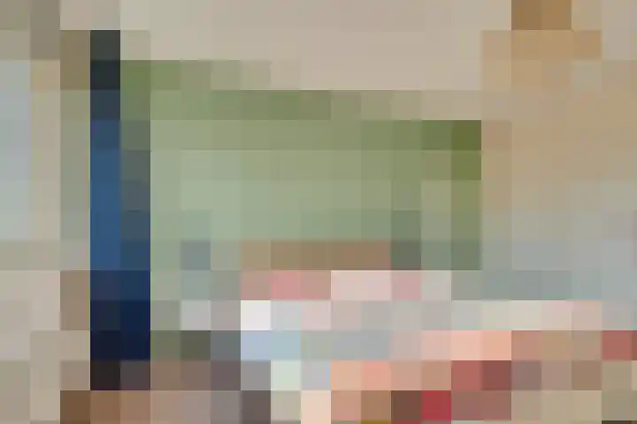 Albert Schweitzerlaan 41 Vleuten thumbnail 32