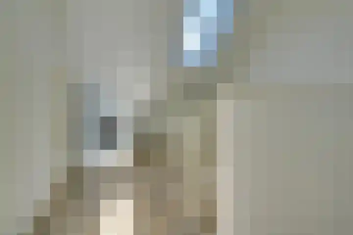 Albert Schweitzerlaan 41 Vleuten thumbnail 36