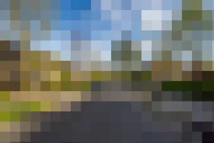 Albert Schweitzerlaan 41 Vleuten thumbnail 44
