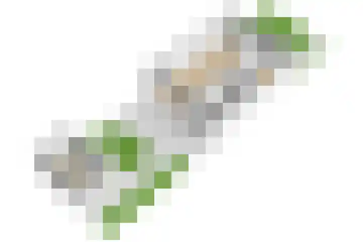 Albert Schweitzerlaan 41 Vleuten thumbnail 51