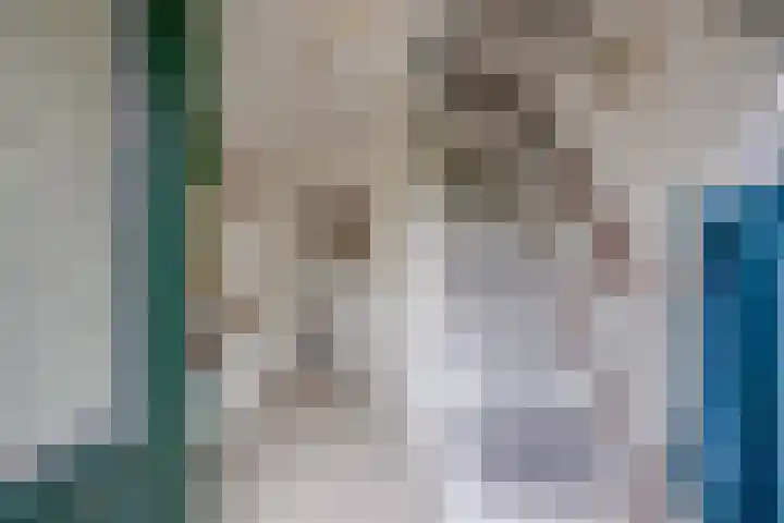 Albert Schweitzerlaan 43 Vleuten thumbnail 10
