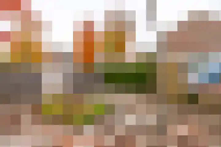 Albert Schweitzerlaan 43 Vleuten thumbnail 26
