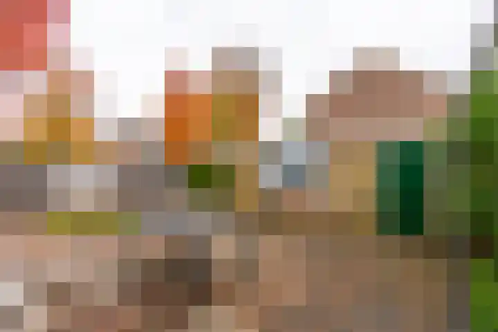 Albert Schweitzerlaan 43 Vleuten thumbnail 28