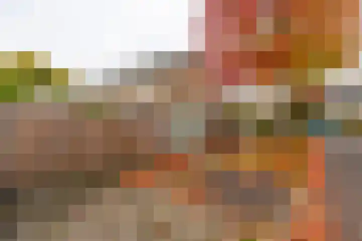 Albert Schweitzerlaan 43 Vleuten thumbnail 30