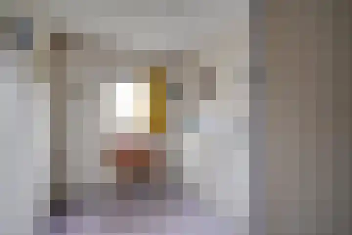 Albert Schweitzerlaan 43 Vleuten thumbnail 39