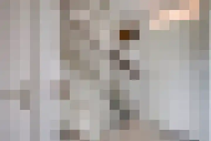 Albert Schweitzerlaan 43 Vleuten thumbnail 41