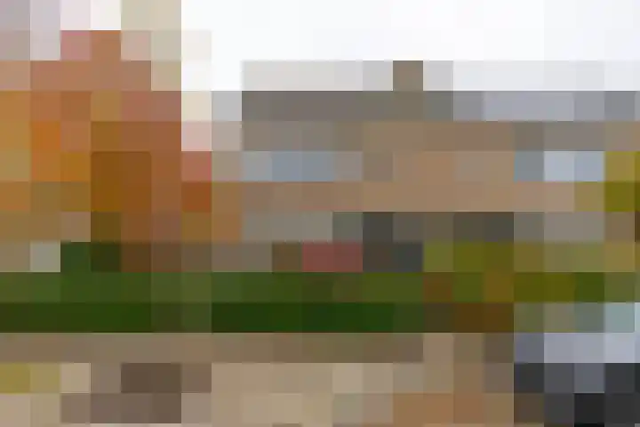Albert Schweitzerlaan 43 Vleuten thumbnail 56