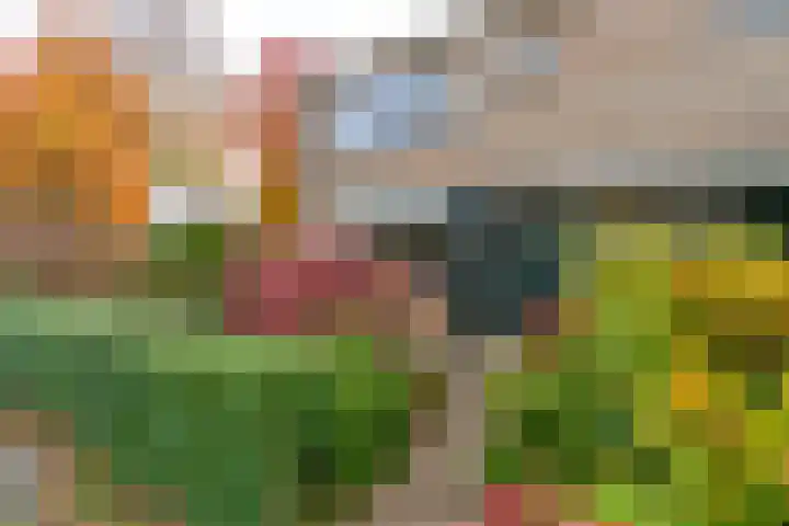 Albert Schweitzerlaan 43 Vleuten thumbnail 8