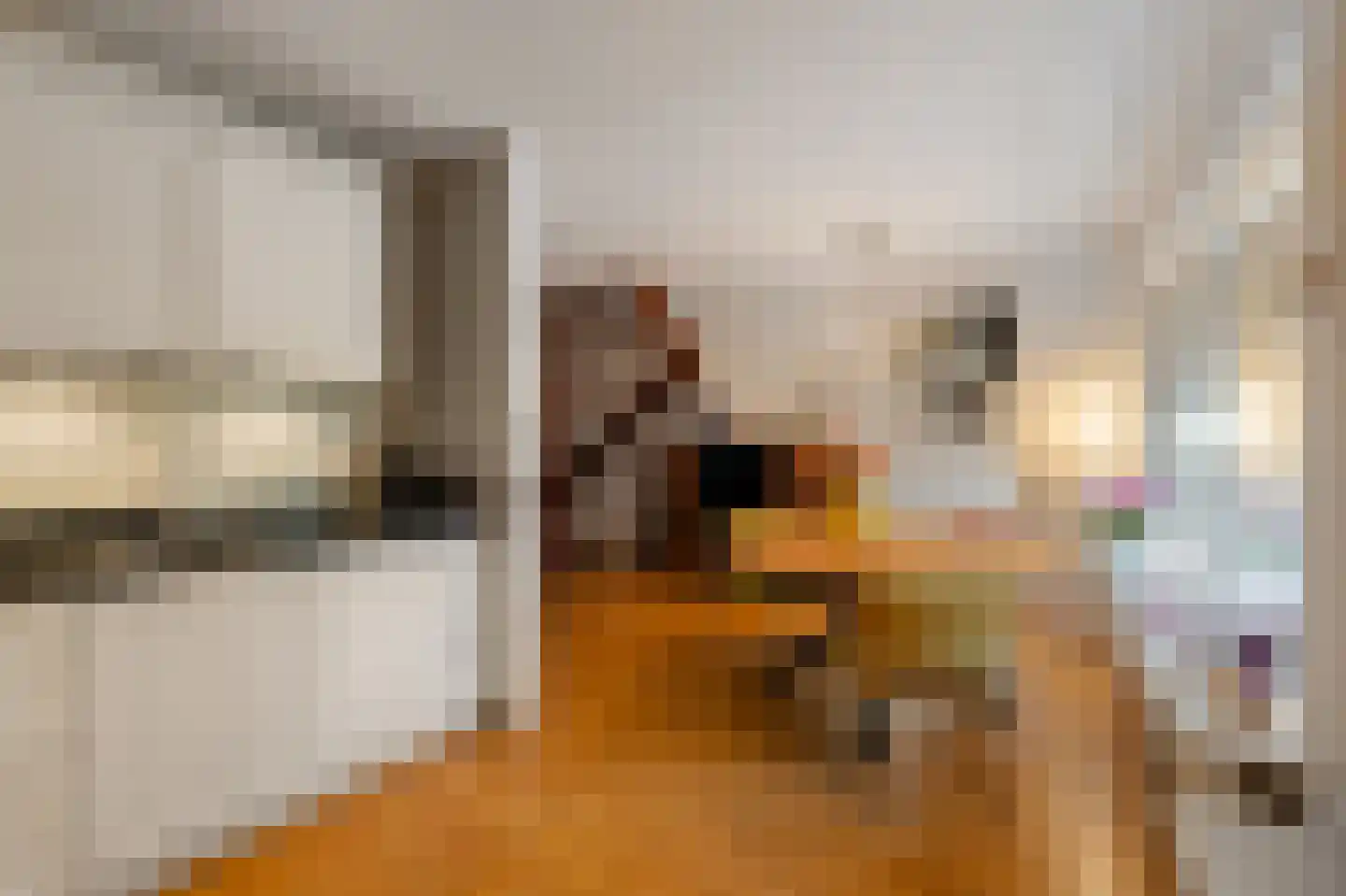 Albert Schweitzerlaan 5 IJsselmuiden thumbnail 17