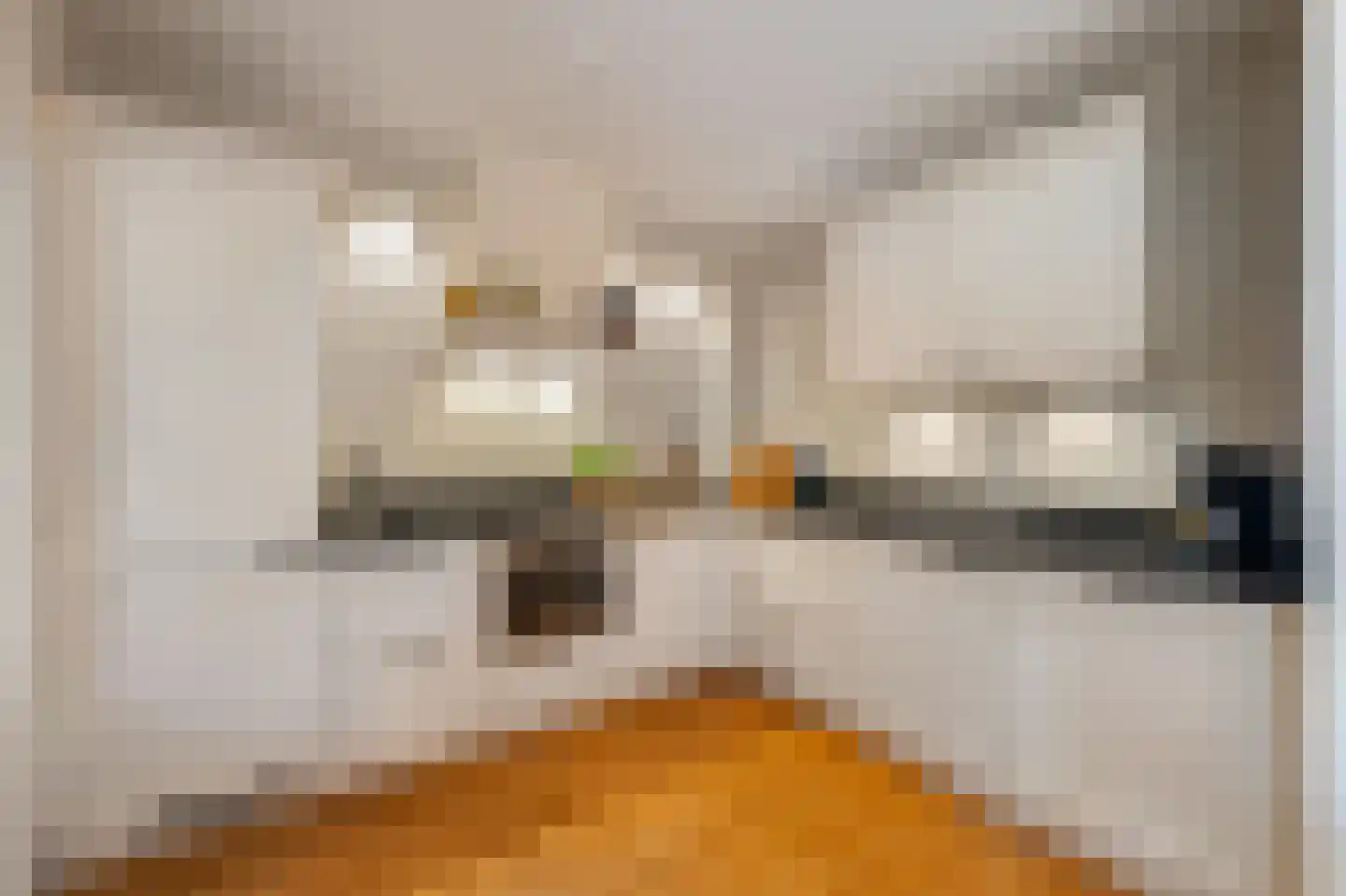 Albert Schweitzerlaan 5 IJsselmuiden thumbnail 18