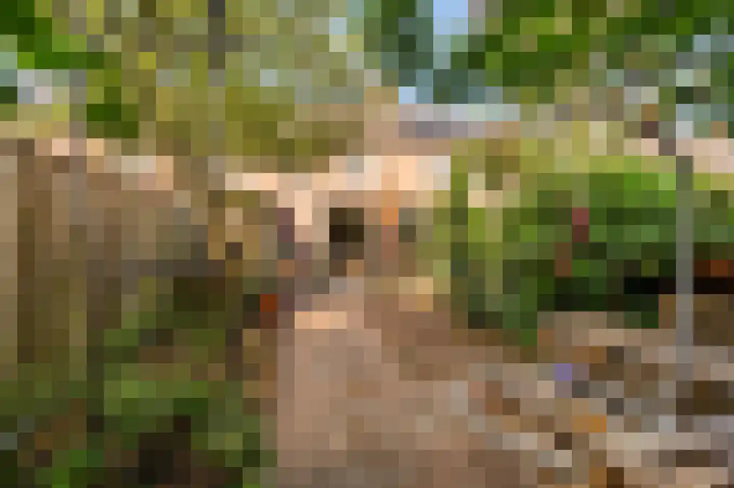Albert Schweitzerlaan 5 IJsselmuiden thumbnail 22