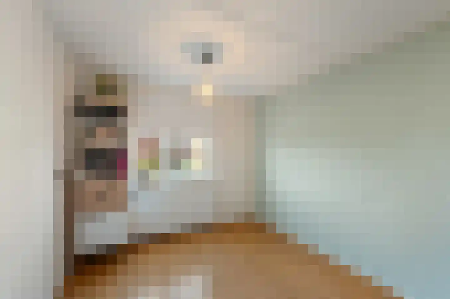 Albert Schweitzerlaan 5 IJsselmuiden thumbnail 34