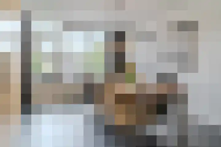 Albert Schweitzerlaan 6 Oosterhout thumbnail 12