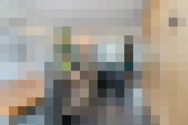 Albert Schweitzerlaan 6 Oosterhout thumbnail 13
