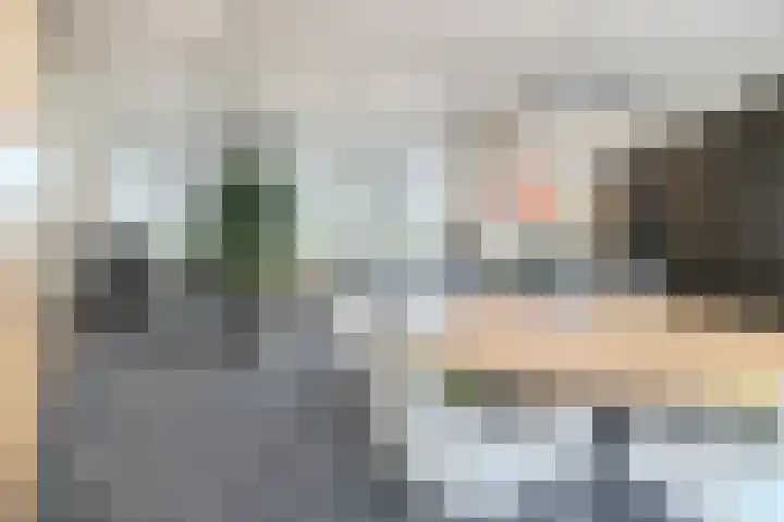 Albert Schweitzerlaan 6 Oosterhout thumbnail 20