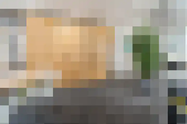 Albert Schweitzerlaan 6 Oosterhout thumbnail 23