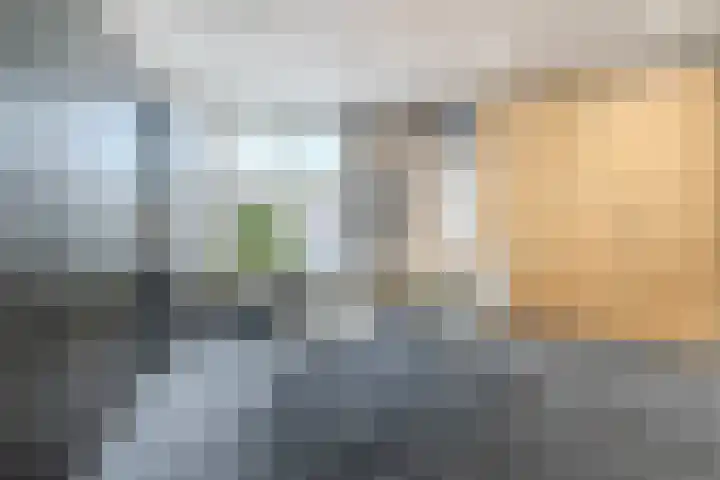 Albert Schweitzerlaan 6 Oosterhout thumbnail 24