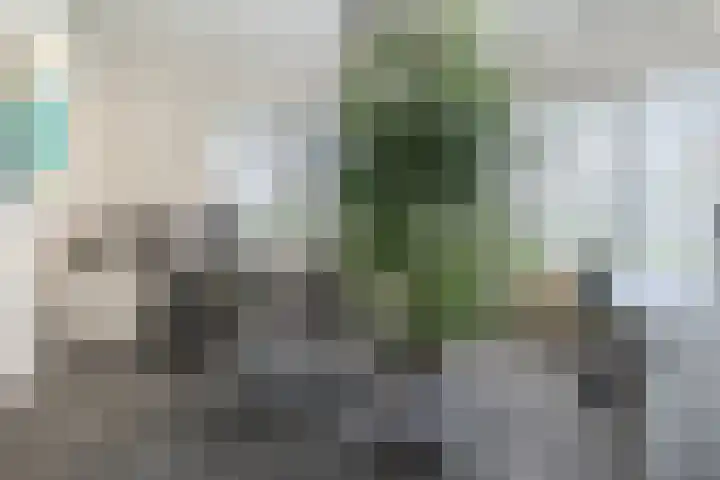 Albert Schweitzerlaan 6 Oosterhout thumbnail 25