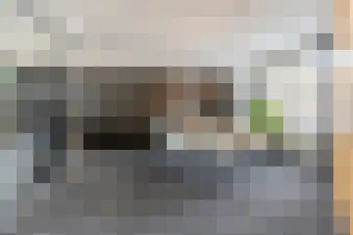 Albert Schweitzerlaan 6 Oosterhout thumbnail 26