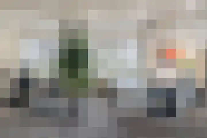 Albert Schweitzerlaan 6 Oosterhout thumbnail 27