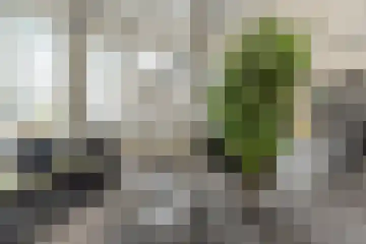 Albert Schweitzerlaan 6 Oosterhout thumbnail 28