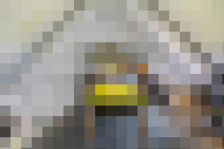 Albert Schweitzerlaan 6 Oosterhout thumbnail 30