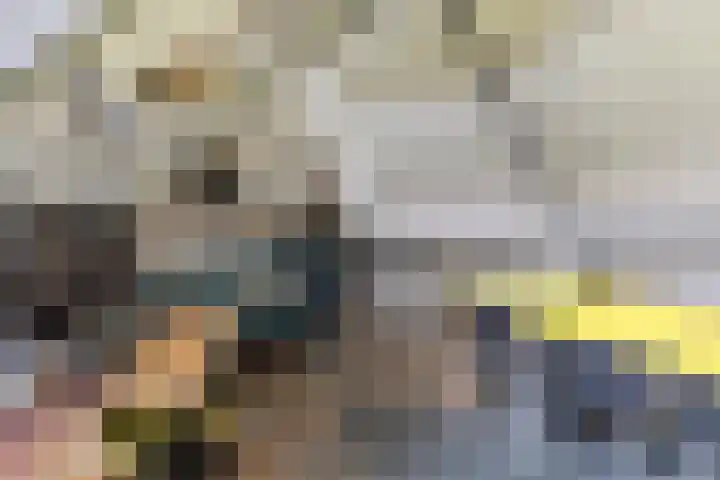 Albert Schweitzerlaan 6 Oosterhout thumbnail 31