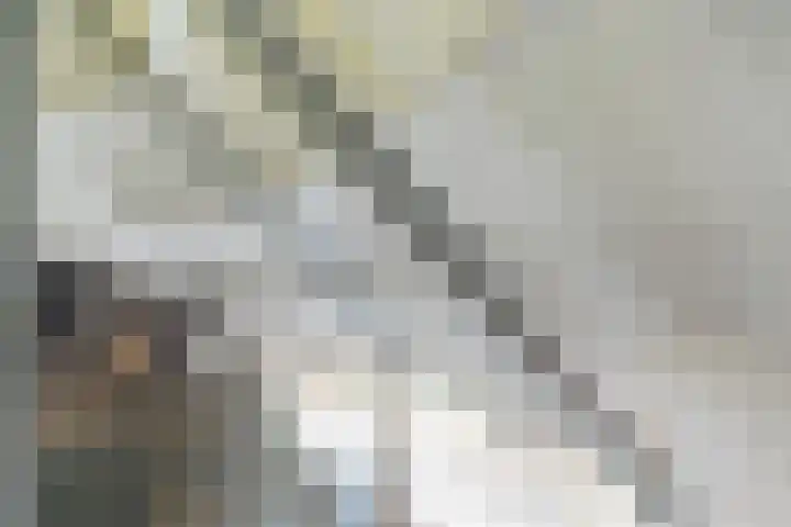 Albert Schweitzerlaan 6 Oosterhout thumbnail 33
