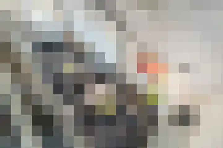 Albert Schweitzerlaan 6 Oosterhout thumbnail 34