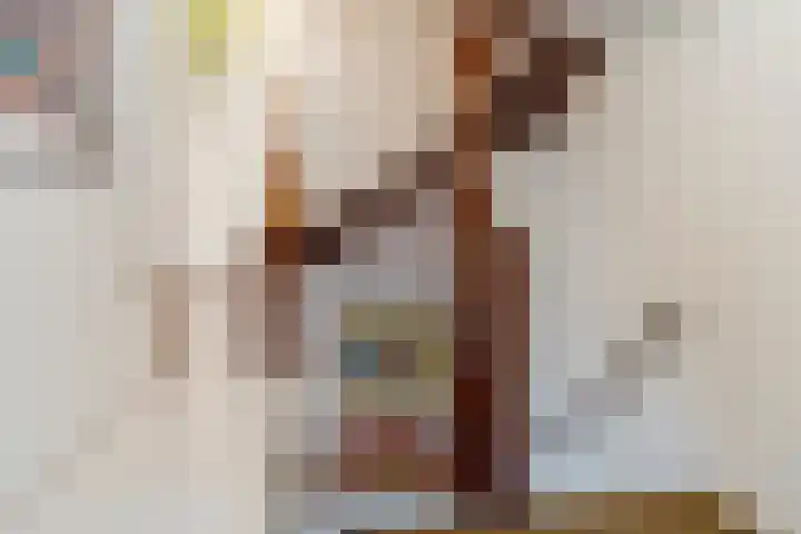 Albert Schweitzerlaan 6 Oosterhout thumbnail 48