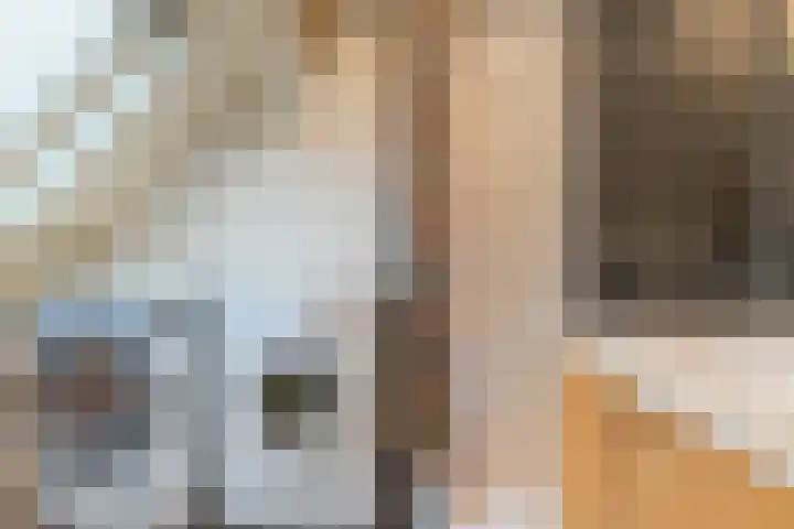 Albert Schweitzerlaan 6 Oosterhout thumbnail 56