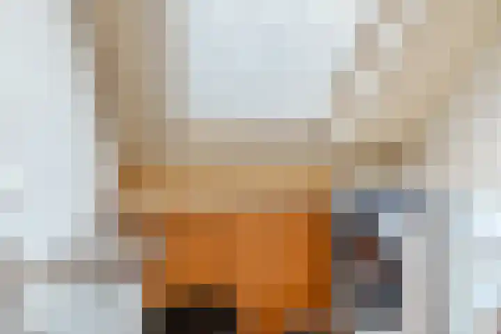 Albert Schweitzerlaan 6 Oosterhout thumbnail 58