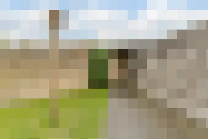 Albert Schweitzerlaan 6 Oosterhout thumbnail 59