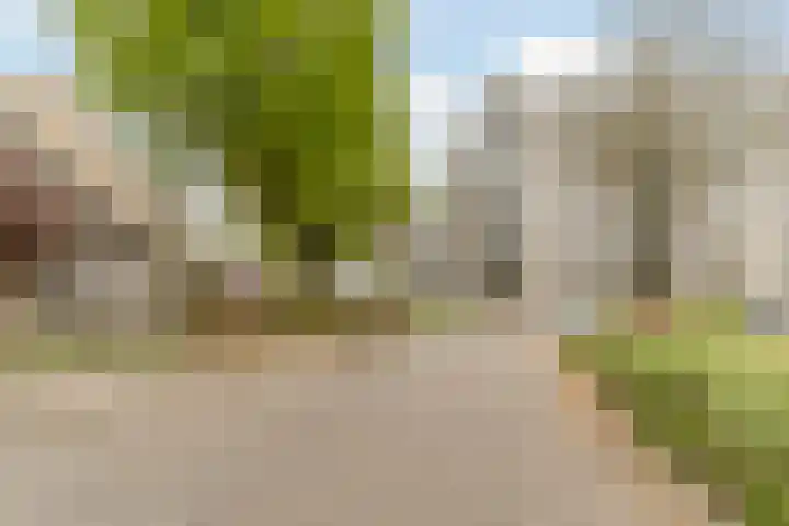 Albert Schweitzerlaan 6 Oosterhout thumbnail 61